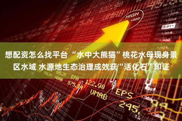 想配资怎么找平台 “水中大熊猫”桃花水母现身景区水域 水源地生态治理成效获“活化石”印证